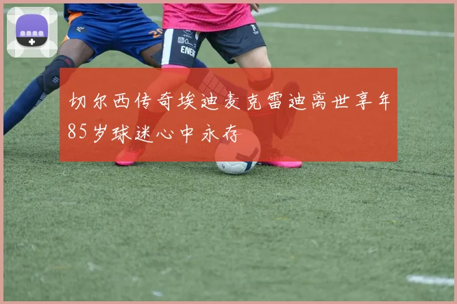 切尔西传奇埃迪麦克雷迪离世享年85岁球迷心中永存